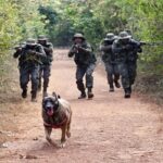 CRPF Boosts Anti-Terror Efforts in J&K with 11th CoBRA Battalion