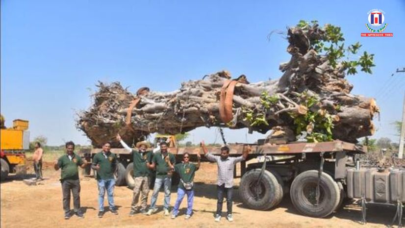 In Bangladesh, Islamists cut down a 200-year-old banyan tree, objecting to ‘un-Islamic’ local rituals practiced around it