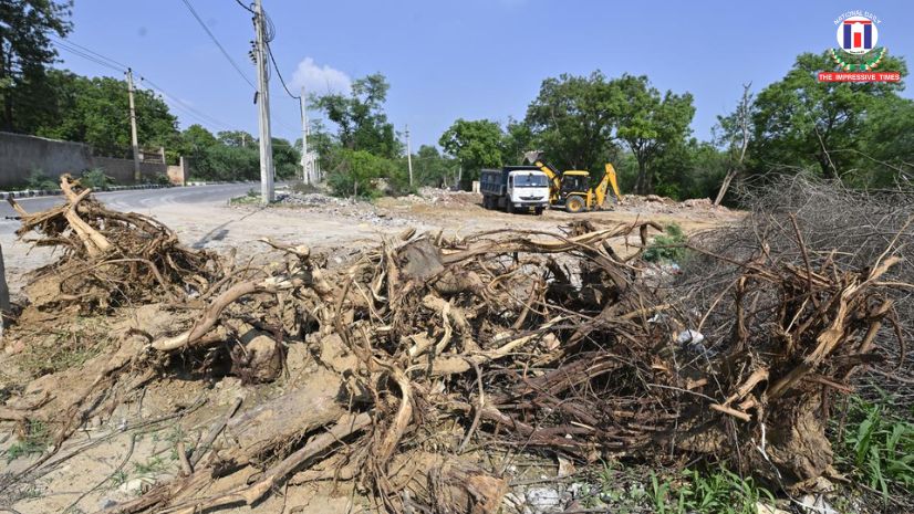 SC pulls up DDA for unlawful tree cutting in Delhi Ridge