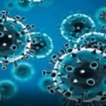 India’s Active COVID-19 Cases Rise to 3,960
