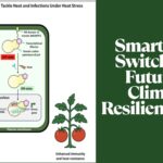 New CRISPR-Based Gene Switch Helps Plants Beat Heat and Disease, Paves Way for Smart Farming
