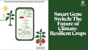 New CRISPR-Based Gene Switch Helps Plants Beat Heat and Disease, Paves Way for Smart Farming