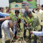 YEIDA celebrates World Environment Day with massive Tree Plantation Drive