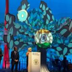 India Gets Global Award at Dublin for Bold Fight Against Tobacco