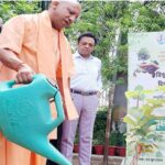 CM Yogi to plant sapling in Ayodhya under ‘Ek Ped Maa Ke Naam’ campaign