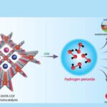 Sunlight to Disinfectant: Indian Scientists Pioneer Green Method to Produce Hydrogen Peroxide Using Photocatalysis