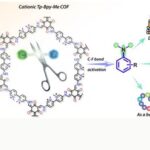 Scientists Develop Sunlight-Based Technique to Break Strong C–F Bonds