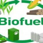 National Biofuel Policy Boosts Biodiesel Production and Farmer Income: Government