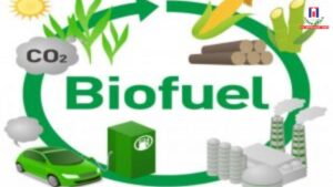 National Biofuel Policy Boosts Biodiesel Production and Farmer Income: Government