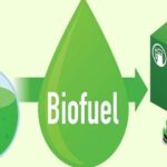 Government Boosts Advanced Biofuel Production Through Expanded JI-VAN Yojana