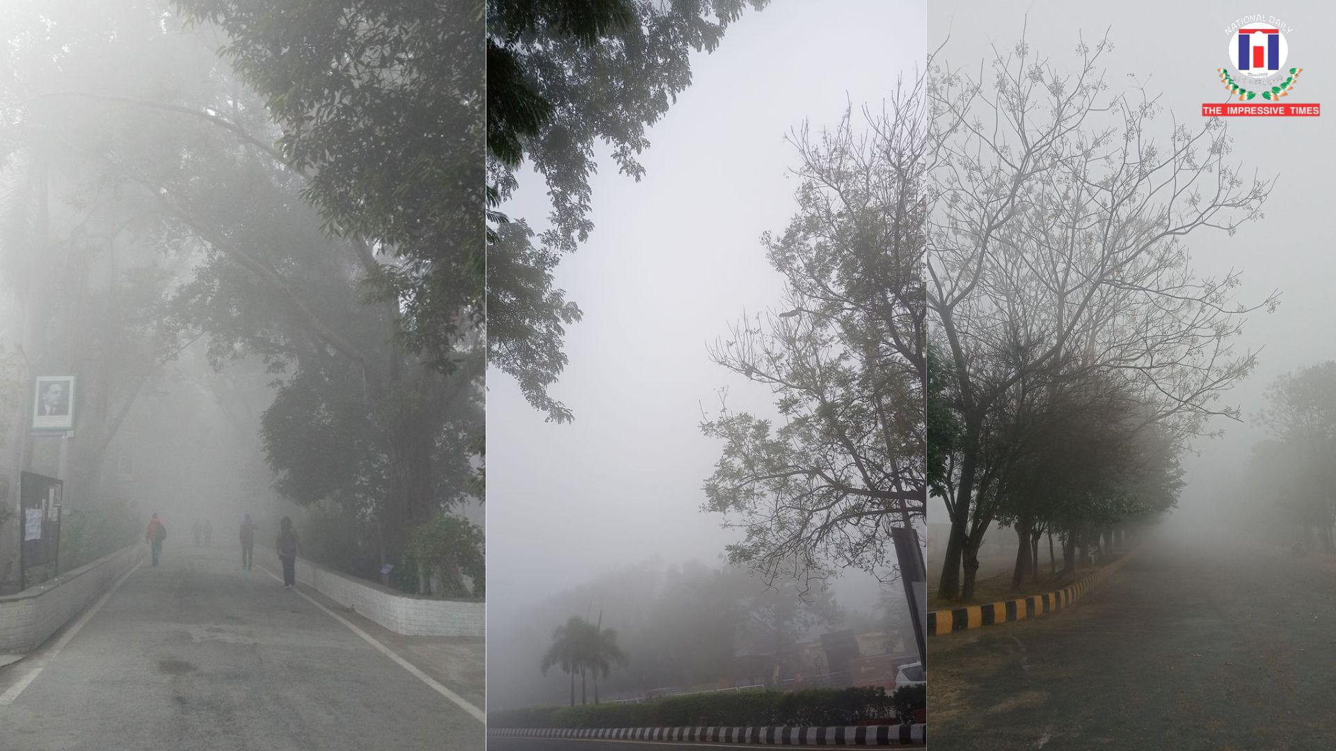 UP Shuts Schools Till January 5 as Cold Wave Tightens Grip Across North India