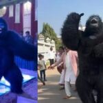 Big Fat Wedding Out, Fun In: Why Gen Z is Bringing Dancing Gorillas to Shaadis