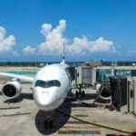 Indian Airlines Plan 50 Flights As Government Monitors West Asia Airspace Situation