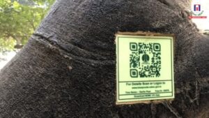 Lutyens’ Delhi to Go Digital, NDMC to Tag 33 Century-Old Trees with QR Codes