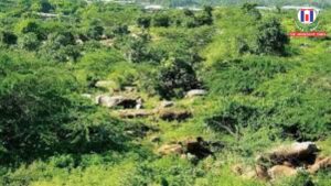 Delhi Government Plans Themed Forests to Expand Urban Green Cover