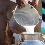 NHRC Takes Cognizance of 16 Deaths in Andhra Pradesh Linked to Adulterated Milk