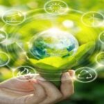 Tribal India Transforms Forest Traditions into Global Market Success