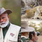 Modi Highlights India’s Wildlife Leadership on World Wildlife Day, Shares Ancient Sanskrit Wisdom
