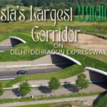 NHAI Wildlife Study Shows Strong Success of Animal Corridors on Delhi Dehradun Expressway