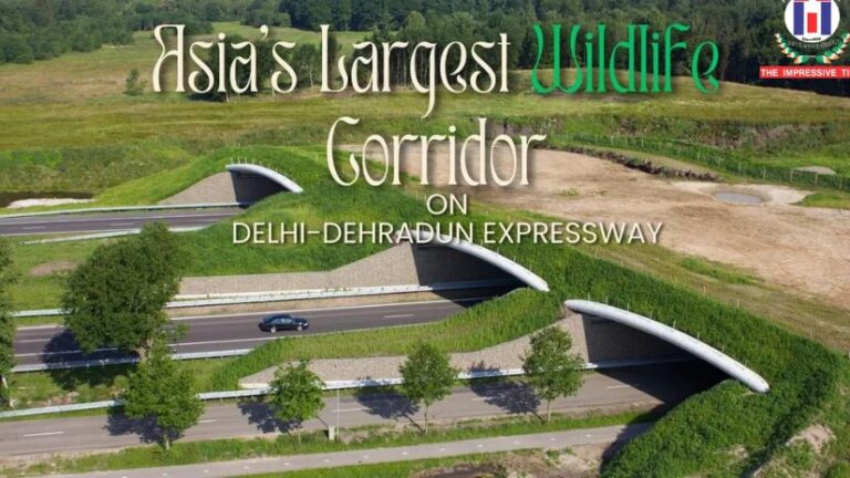 NHAI Wildlife Study Shows Strong Success of Animal Corridors on Delhi Dehradun Expressway