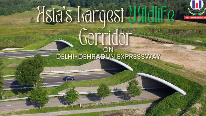 NHAI Wildlife Study Shows Strong Success of Animal Corridors on Delhi Dehradun Expressway