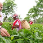 PM Modi Visits Assam Tea Estate, Engages with Workers Ahead of Election Campaign