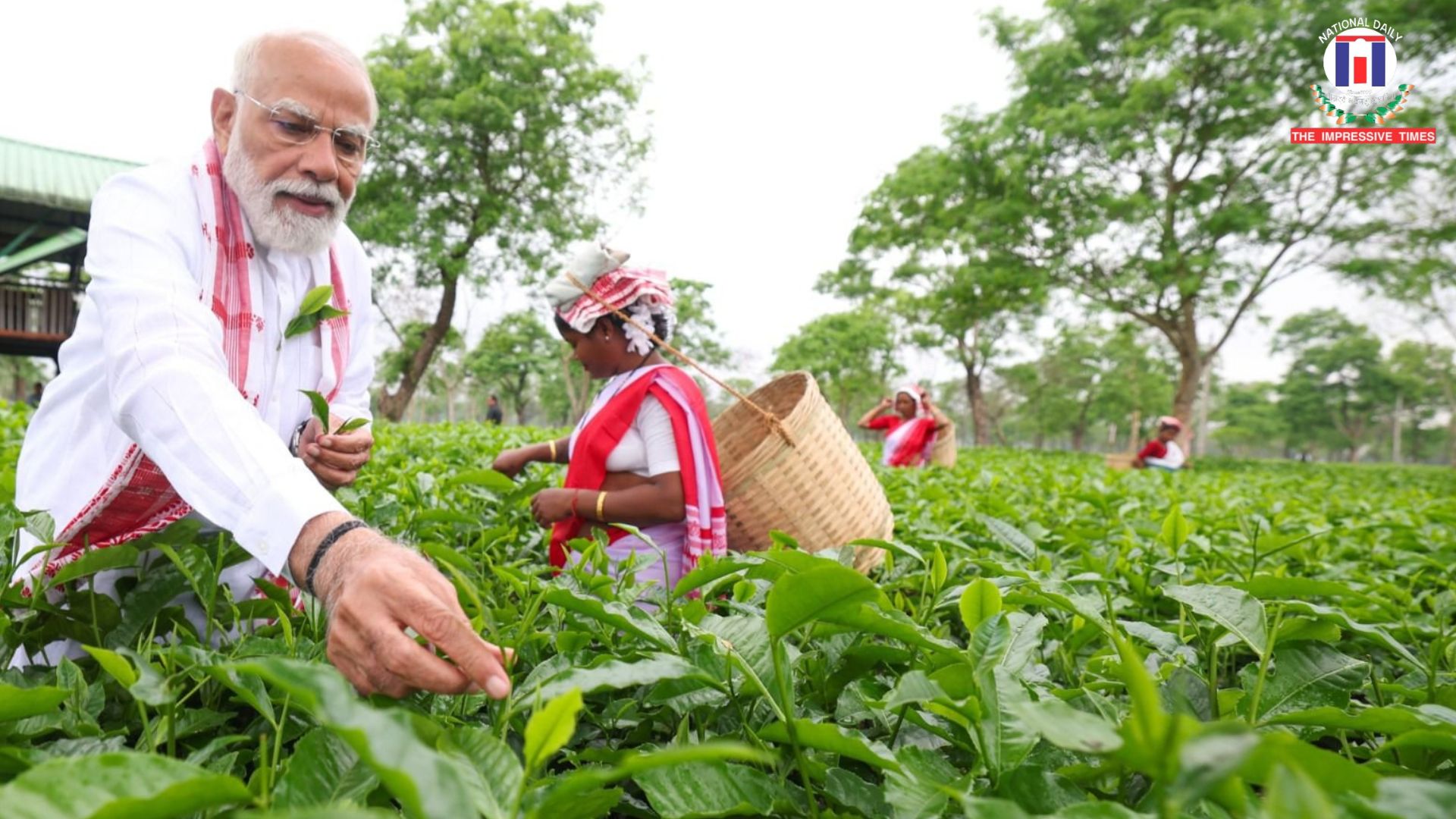 PM Modi Visits Assam Tea Estate, Engages with Workers Ahead of Election Campaign