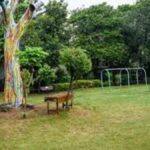 Delhi Chief Minister Rekha Gupta Announces First Full Scale Tree Census Across City