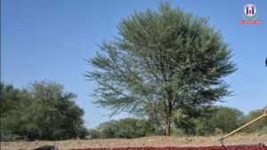 CAG Audit Exposes Irregularities in SC/ST Land Transfers in Odisha