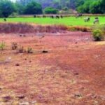 Supreme Court Puts Haryana Officials on Notice in Gurugram Land Row