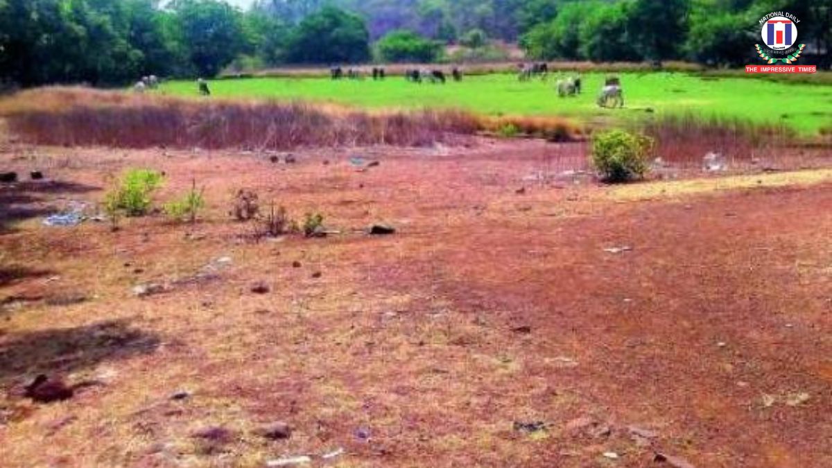 Supreme Court Puts Haryana Officials on Notice in Gurugram Land Row