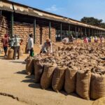 Centre Expands MSP Procurement Boosts Pulse Buying in Bihar and Chhattisgarh