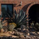 Kidnapper May Be Disguising Identity in Nancy Guthrie Case, Says Former FBI Profiler