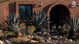 Kidnapper May Be Disguising Identity in Nancy Guthrie Case, Says Former FBI Profiler