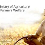 Wheat Output Holds Firm Across India Despite Climate Challenges