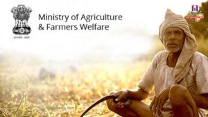 Wheat Output Holds Firm Across India Despite Climate Challenges