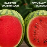 Natural or Injected Watermelon How to Identify Adulteration in 2 Minutes