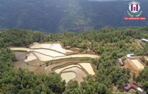 Innovative Rainwater Practices Revive Agriculture and Livelihoods in Andhra Pradesh Villages