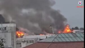 Massive Blaze Destroys USF Marine Science Lab in St. Petersburg, Cause Under Probe