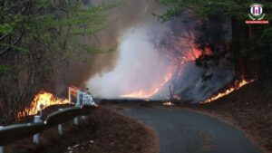 Japan Tames One of Its Largest Wildfires in Decades After 11-Day Battle