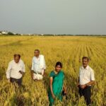 ICAR-IIOR’s Smart Seed Coating Technology Boosts Climate-Resilient Farming