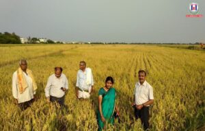ICAR-IIOR’s Smart Seed Coating Technology Boosts Climate-Resilient Farming