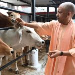 CM Yogi Orders Strict Action Against Negligence in Land-Related Cases During Janata Darshan