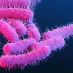 Kerala Shigella Cases Rise to 16 as Seven More Students Test Positive in Wayanad