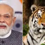 PM Modi Marks Global Tiger Day, Says India’s Conservation Model Reflects Harmony Between Nature and Development