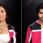 Harshad Chopda Faces Online Backlash After Gesture Towards Shreya Kalra in Lock Upp 2