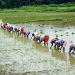 Centre on High Alert as El Niño Threat Looms, Weekly Preparedness Reviews Begin