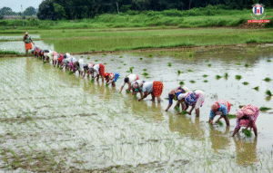 Centre on High Alert as El Niño Threat Looms, Weekly Preparedness Reviews Begin