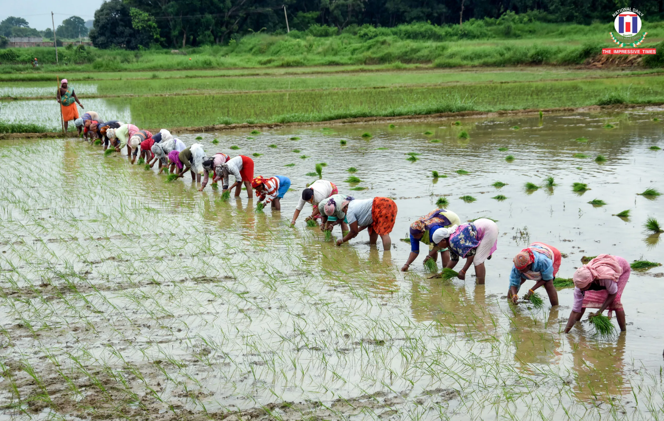 Centre on High Alert as El Niño Threat Looms, Weekly Preparedness Reviews Begin