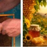 KVIC Boosts Rural Entrepreneurship as Traditional Skills Turn into Profitable Businesses